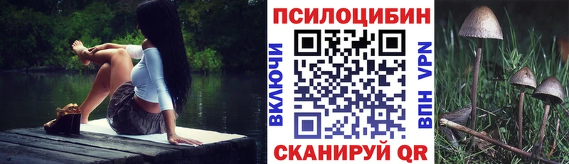 где купить наркоту  Ржев  Галлюциногенные грибы мицелий 