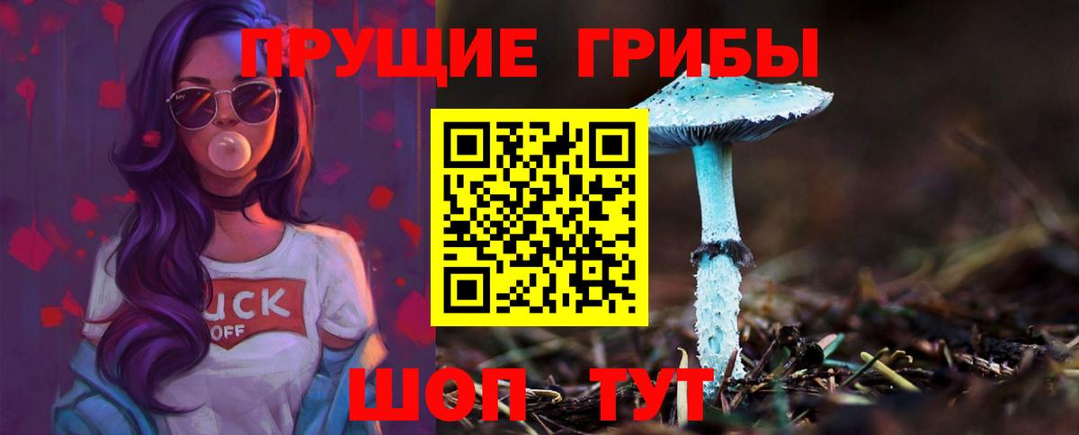 закладка  Псилоцибиновые грибы мухоморы  Вход с VPN  Ржев 