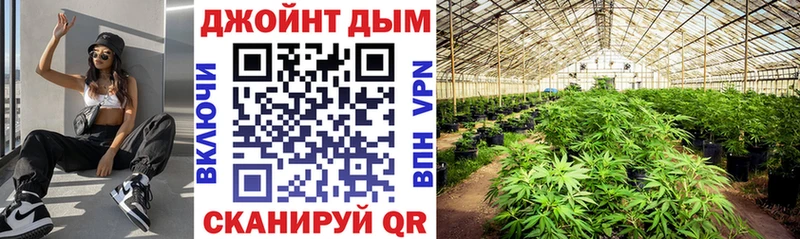 Каннабис тримм  mega ссылка  Ржев 